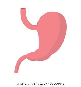 Stomach vector design illustration isolated on white background