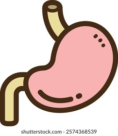 Stomach vector doodle illustration and graphic