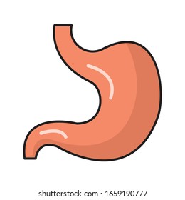 stomach vector flat color icon 