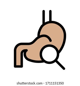 stomach vector flat color icon 