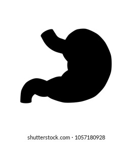 Stomach vector icon