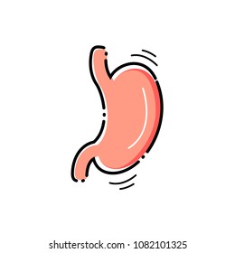 Stomach vector icon.