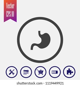 stomach vector icon