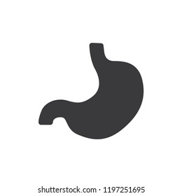 Stomach vector icon