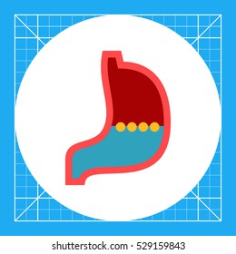 Stomach Vector Icon