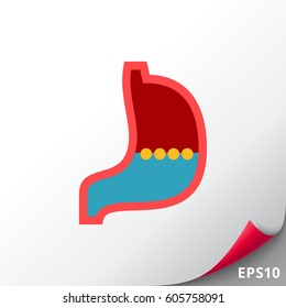 Stomach Vector Icon
