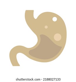 Stomach vector icon - stomach body organ icon