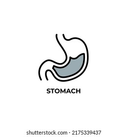 stomach vector icon. Colorful flat design vector illustration. Vector graphics