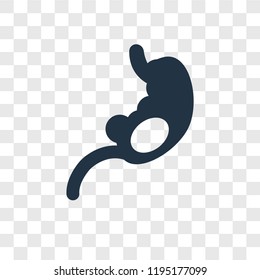 Stomach vector icon isolated on transparent background, Stomach transparency logo concept