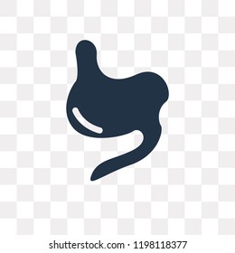 Stomach vector icon isolated on transparent background, Stomach transparency concept can be used web and mobile