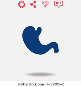 Stomach vector icon on grey background.
