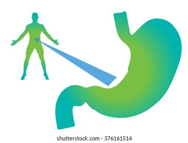 Stomach vector illustration