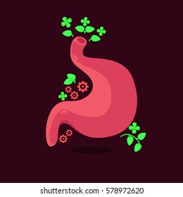 stomach vector illustration