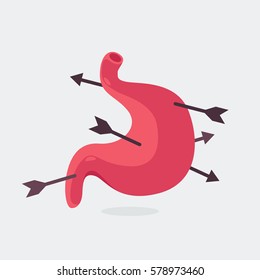 Stomach vector illustration