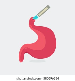 Stomach vector illustration