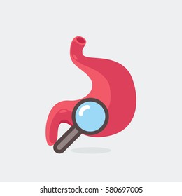 Stomach vector illustration