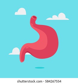 stomach vector illustration