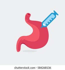 Stomach vector illustration