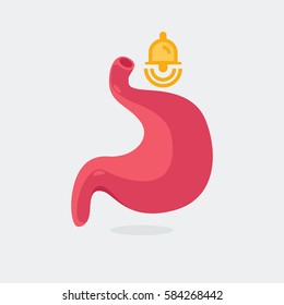 Stomach vector illustration