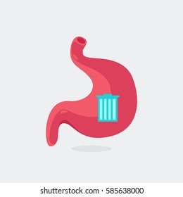 Stomach vector illustration