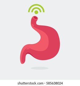 Stomach vector illustration