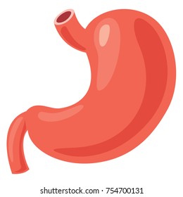 Stomach Vector Illustration