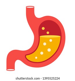 Stomach vector illustration isolated on white background