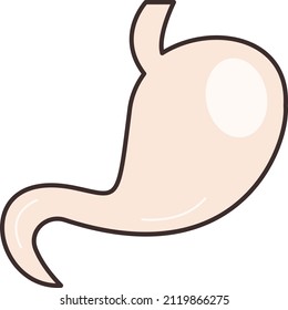 stomach Vector illustration on a transparent background.Premium quality symmbols.Vector line flat icon for concept and graphic design.
