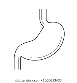 Icono de la línea vectorial Stomach aislado en fondo blanco. Icono de línea de resumen de Stomach para infografía, sitio web o aplicación. Icono diseñado en un sistema de cuadrícula.