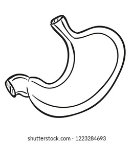 Stomach vector sign illustration