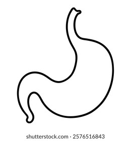 stomach of a vector silhouette