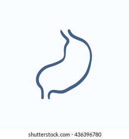 Stomach vector sketch icon isolated on background. Hand drawn Stomach icon. Stomach sketch icon for infographic, website or app.