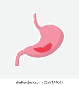 Stomach Vector Sticker - Anatomical Illustration. Detailed vector illustration of the stomach. Ideal for medical, health, and educational materials