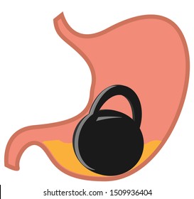 Stomach with weights in the middle isolated on a white background.