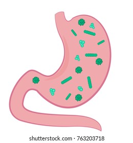 A Stomack full of microbs vector illustration