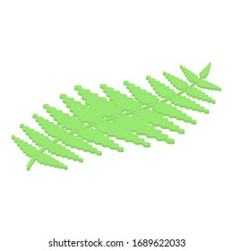 Stone age leaf icon. Isometric of stone age leaf vector icon for web design isolated on white background