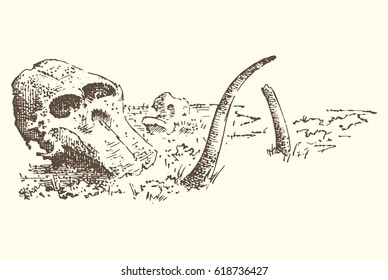 Stone age vector Caveman or troglodyte illustration, mammoth skeleton and skull. prehistoric aged hand drawn or engraved illustration, ancient period concept