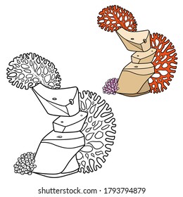 Stone with anemones and coral grow coloring book linear drawing isolated on white background