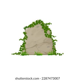 Stone board with ivy leaves, cartoon climping hedera on jungle rock panel. Vector border with natural ive branches, garden summer foliage on stone