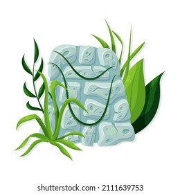 Stone board with liana branches and tropical leaves. Vector cartoon illustration.