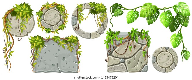 Stone boards decoration liana branches and tropical leaves. Set isolated cartoon vector circle and square frames with space for text on white background.