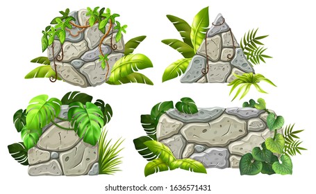 Stone boards decoration liana branches and tropical leaves. Set isolated cartoon vector circle and square frames with space for text on white background.