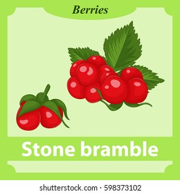 Stone Bramble flashcard in simple cartoon style. Learning berries with flashcards for kids. Vector illustration. Education Collection.