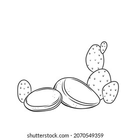 Stone with cactus, drawn monochrome boulders, outline vector illustration.