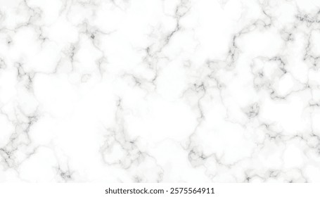  Stone ceramic art wall interiors backdrop design. Marble with high resolution. Natural white marble texture background with high resolution