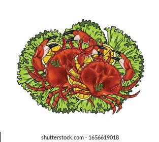 Stone Crab with lemon and vegetable on white background. Stone Crab vector art highly detailed in line art style.