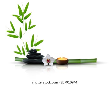 Stone, flower and bamboo isolated background. vector