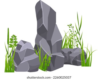 Stone in green grass. Gray rock. Landscape element