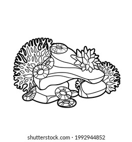 Stone with growing corals and sponges coloring book linear drawing isolated on white background