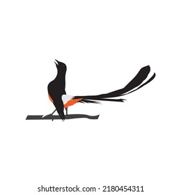 Stone magpie,icon logo vector design illustration
